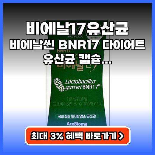 비에날17유산균 비에날씬 BNR17 캡슐 추천