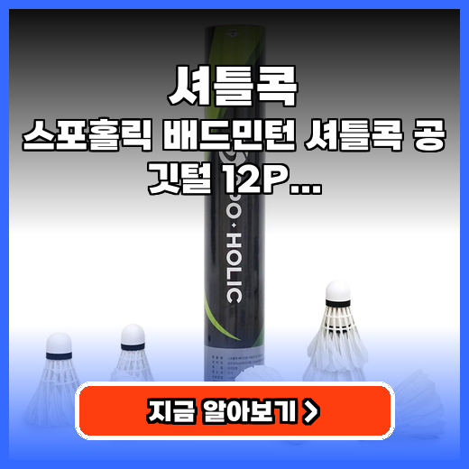 셔틀콕 스포홀릭 깃털 12개입 추천 구매팁