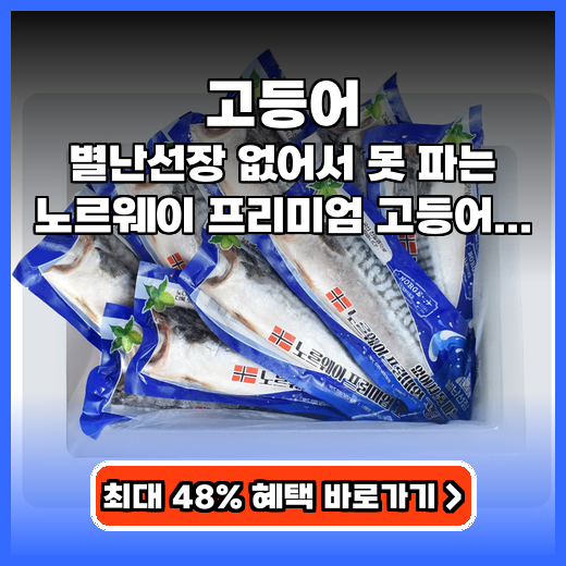 고등어 별난선장 노르웨이 프리미엄 추천