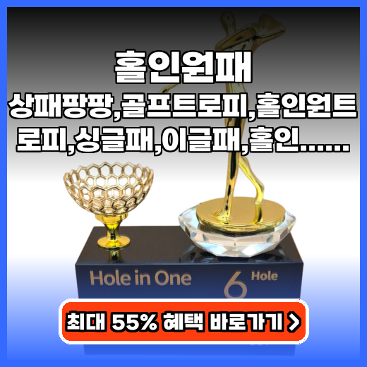 홀인원패 상패팡팡 홀인원패022 가성비 추천