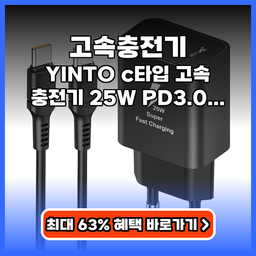 고속충전기 YINTO 25W PD3.0 가성비 추천