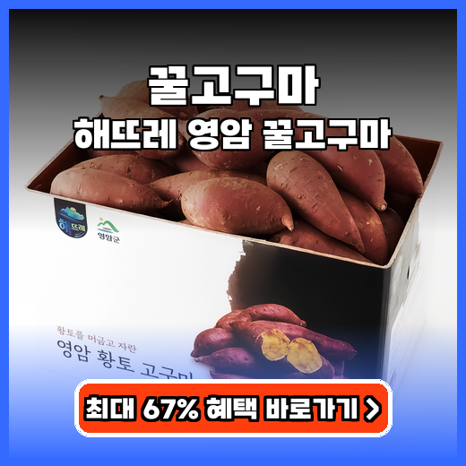꿀고구마 달콤촉촉 해뜨레 영암 추천