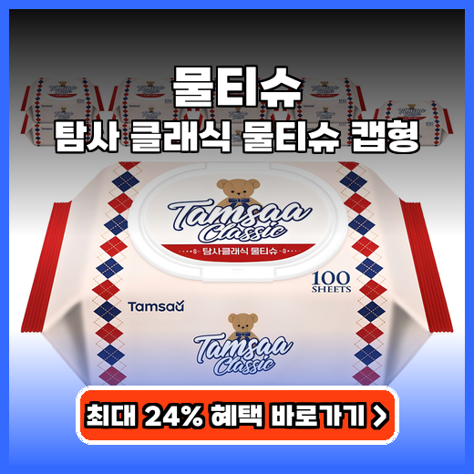 물티슈 탐사 클래식 캡형 가성비 추천