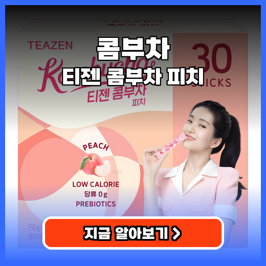 콤부차 티젠 콤부차 피치 추천