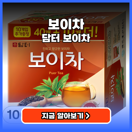 보이차 스틱형 담터 보이차 추천 구매팁