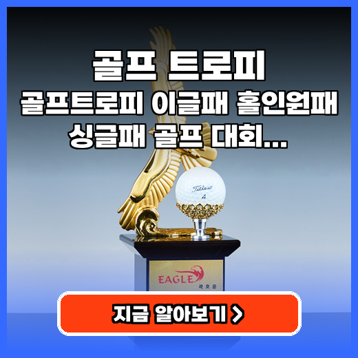 골프 트로피 골프트로피 이글패 맞춤각인 추천