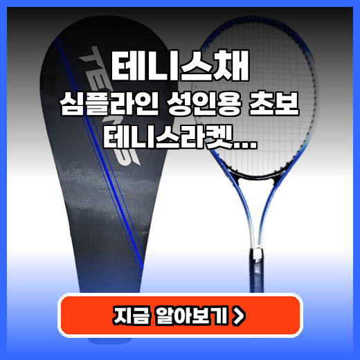 테니스채 심플라인 가벼운 라켓 추천