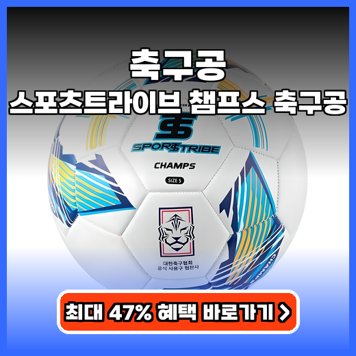 축구공 가성비 스포츠트라이브 챔프스 추천