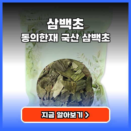 삼백초 환절기 비염 돕는 깔끔한 국산 건강차 추천