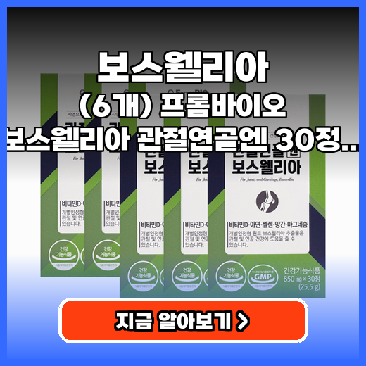 보스웰리아 관절 통증 덜어주는 효도 선물 영양제 추천