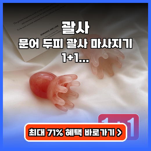 괄사 두피부터 전신까지 문어 마사지기 1+1 추천