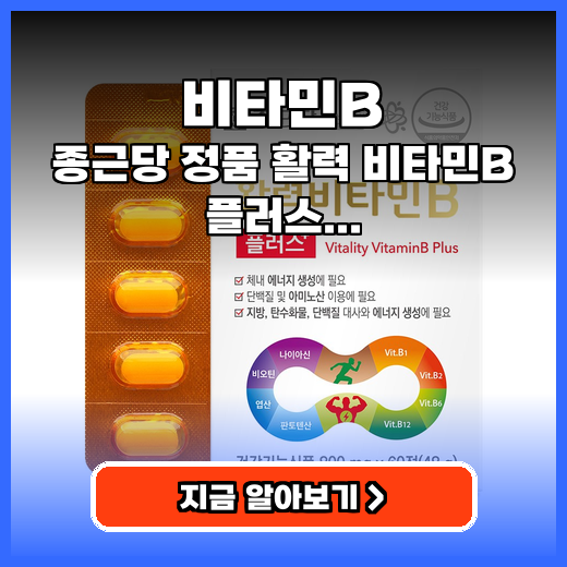 비타민B 지친 일상 활력 되찾는 종근당 영양제 솔직 후기