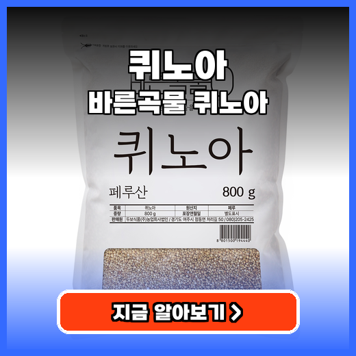 퀴노아 건강한 식단 위한 고단백 곡물 똑똑하게 활용하기