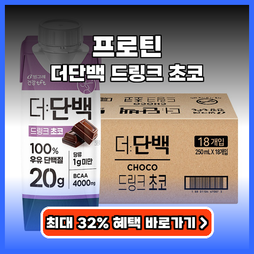 프로틴 맛있게 챙기는 초코맛 드링크 간편템 추천