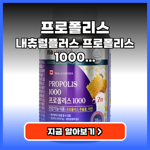 프로폴리스 환절기 면역 지키는 고함량 대용량 영양제 추천