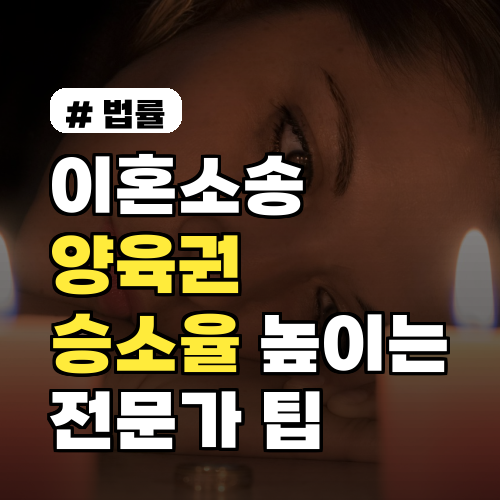 이혼소송 양육권, 승소율 높이는 전문가 팁 3가지