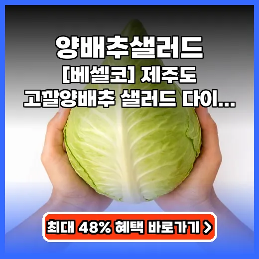 양배추샐러드 다이어트 식단에 딱! 신선한 고깔양배추 제품 추천