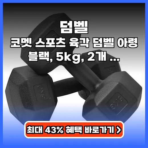 덤벨 홈트 입문자를 위한 안정적인 육각 아령 추천