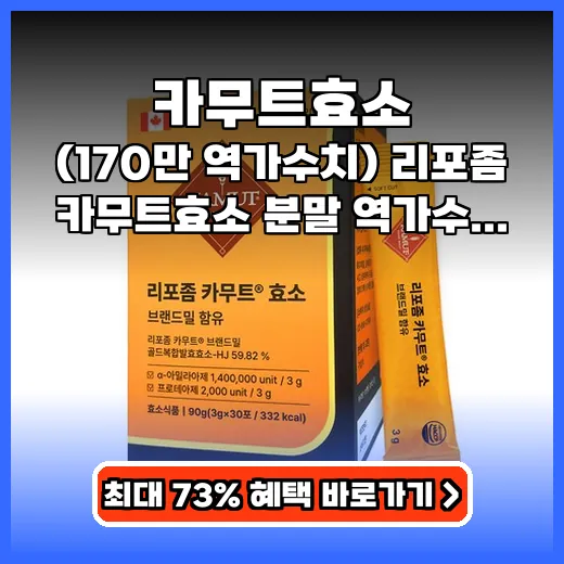 카무트효소 속 편안한 170만 역가 리포좀 효소 추천
