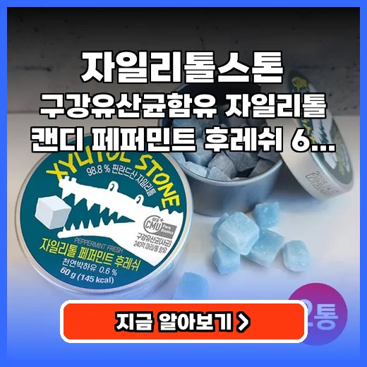 자일리톨스톤 입안 상쾌함 지키는 무설탕 구강유산균 캔디 추천