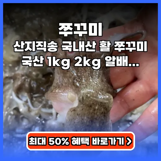 쭈꾸미 제철 신선함 가득! 알배기 산지직송 제품 구매 팁