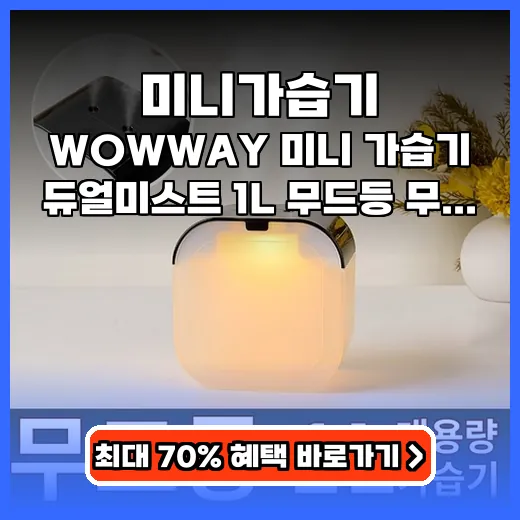 미니가습기 작은 공간 촉촉하게 듀얼미스트 제품 추천