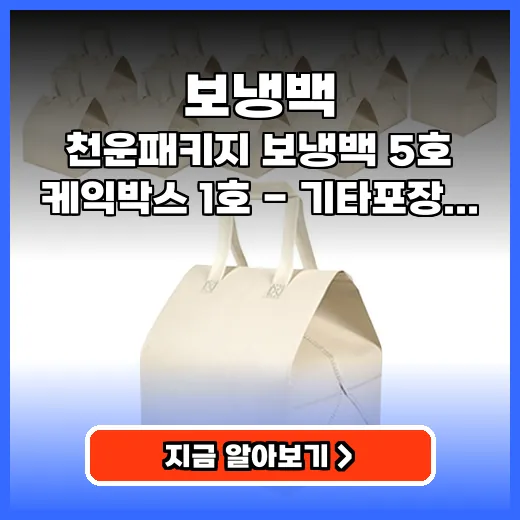 보냉백 선물용 케이크도 넉넉히 담는 다용도 제품 추천