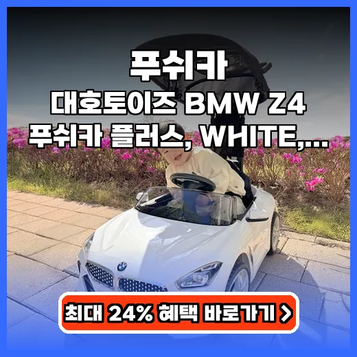 푸쉬카 BMW 디자인 2in1 유아차! 우리 아이 드림카 선물