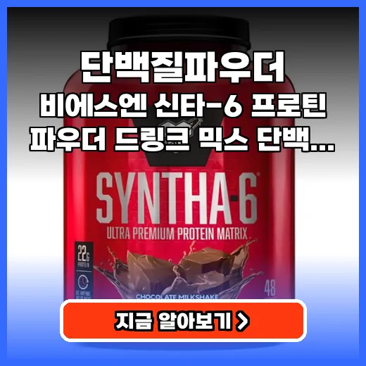 단백질파우더 맛 때문에 포기했다면 인생템 초코맛 제품 추천