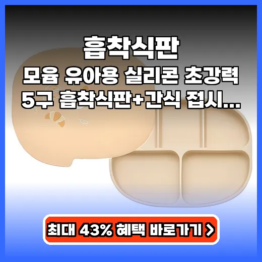 흡착식판 아기 식사시간 평화 찾아주는 뚜껑까지 있는 찐 육아템 후기