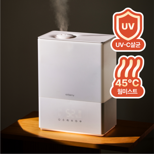 에어베리 웜히팅 가습기 룸미스트 복합식 살균 대용량 초음파 가열식 육아출산 가습기 6L - 가습기/에어워셔 상품 이미지